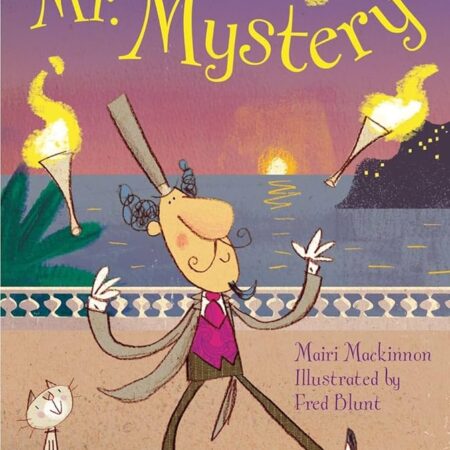 Mr Mystery by Mairi Mackinnon