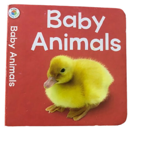 Baby Animals