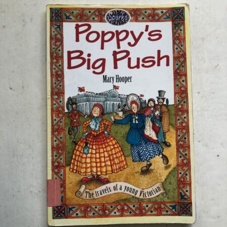 Poppy’s Big Push by Mary Hooper
