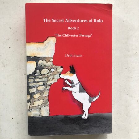 The Secret Adventures of Rolo by Debi Evans