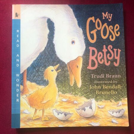 My Goose Betsy by Trudi Braun