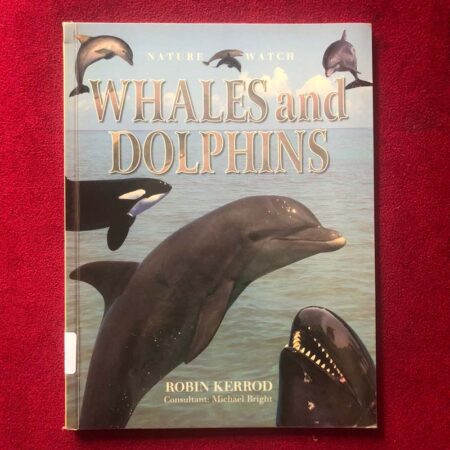 Whales and Dolphins by Robin Kerrod, Michael Bright