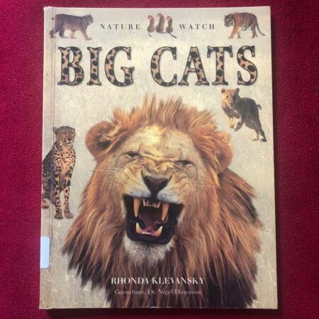 Big Cats by Rhonda Klevansky