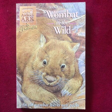 Wombat in the Wild by Lucy Daniels