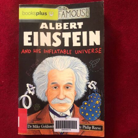 Albert Einstein and His Inflatable Universe by Mike Goldsmith