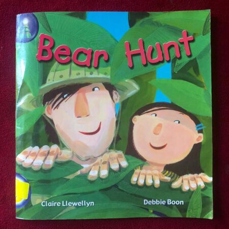 Bear Hunt by Claire Llewellyn