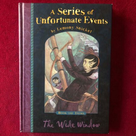 The wide window by Lemony Snicket