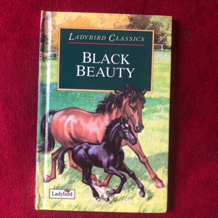 Black Beauty by Anna Sewell