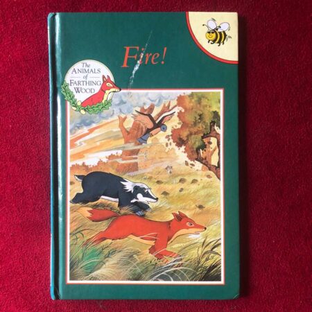 Fire! by Mary Risk, Colin Dann