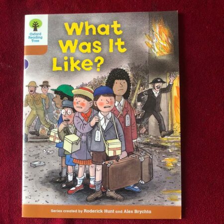 Oxford Reading Tree: Stage 8: More Stories: What Was It Like? by Roderick Hunt