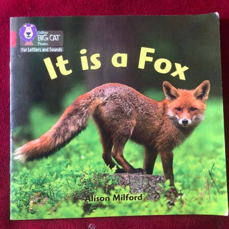 Collins Big Cat Phonics for Letters and Sounds – It Is a Fox: Band 02B/Red B by Alison Milford