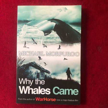 The wreck of the Zanzibar by Michael Morpurgo