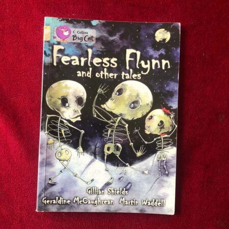 Fearless Flynn Band 17 Diamond by Gillian Shields Geraldine McCaughrean, Martin Waddell