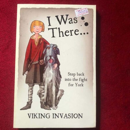 Viking Invasion by Stuart Hill