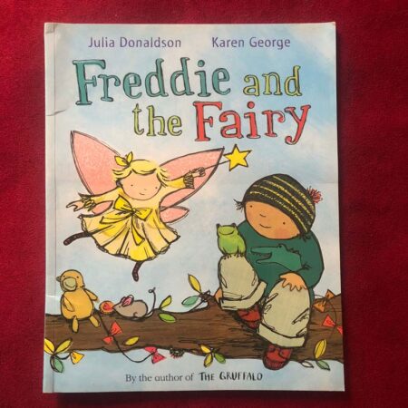 Freddie and the Fairy by Julia Donaldson