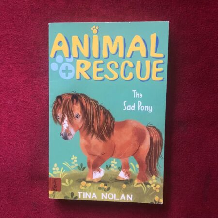 Animal Rescue Sad Pony by Tina Nolan