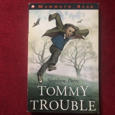 Tommy Trouble by Stephen Potts