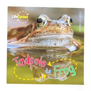Tadpole to Frog by Camilla De la Bédoyère