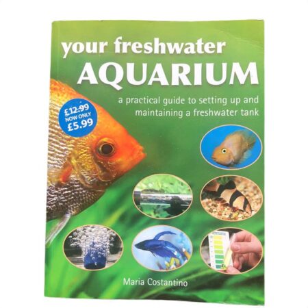 Your freshwater aquarium by Maria Costantino